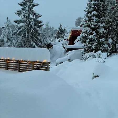 Apartman Free Parking Bergen