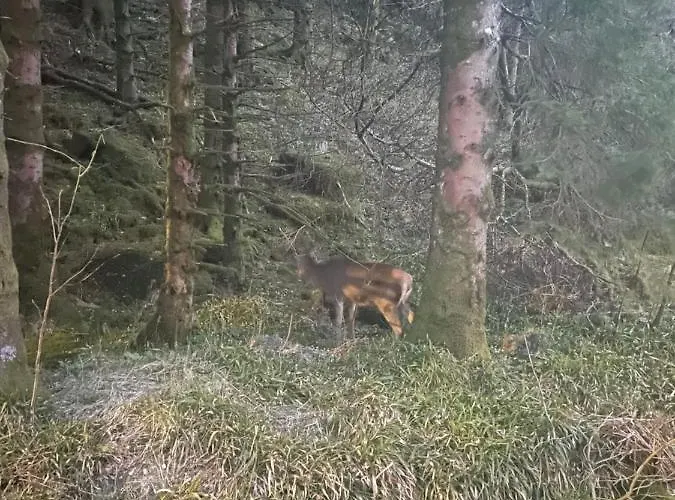 Free Parking דירה