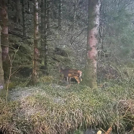 Free Parking Appartamento